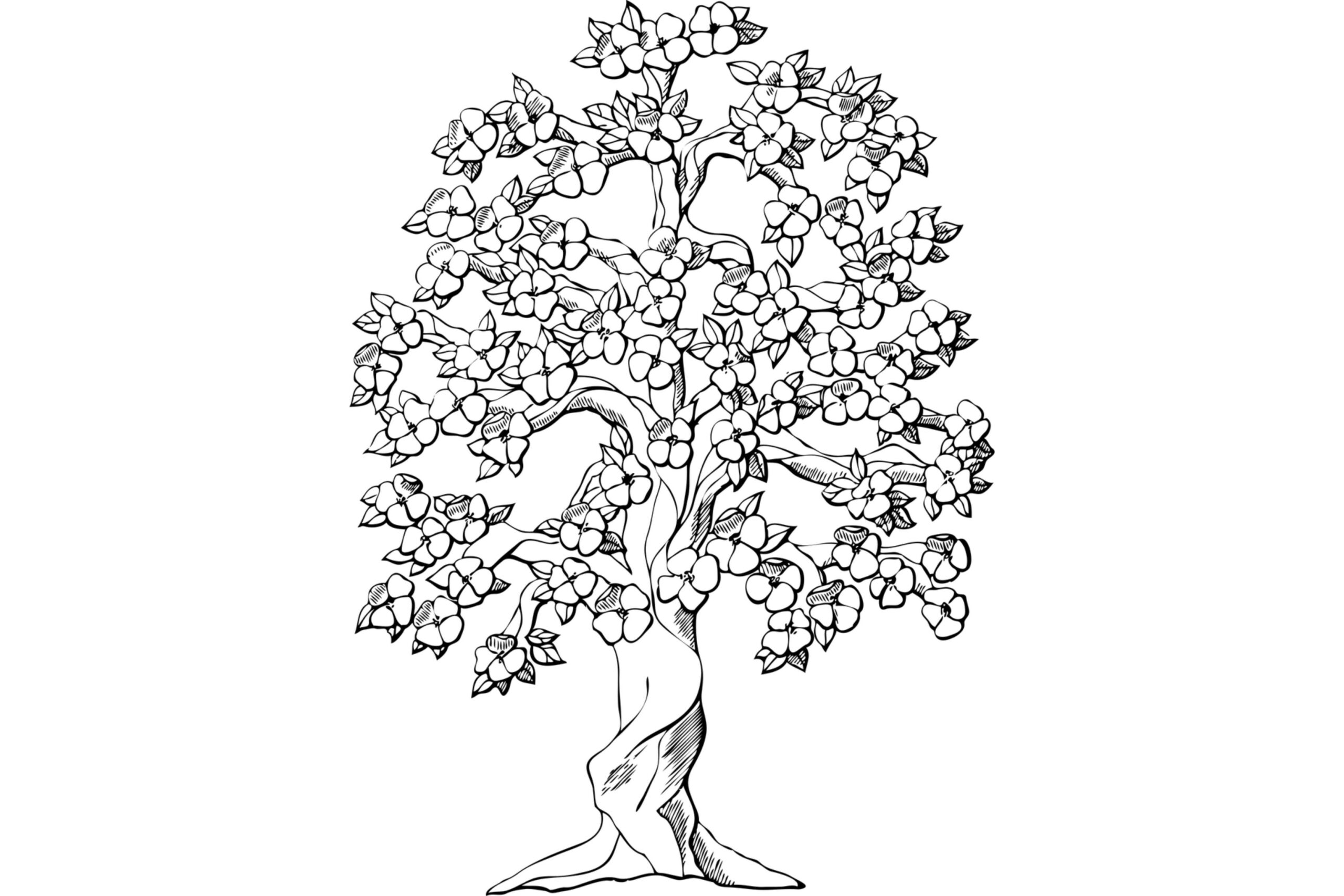 Immagini dimensione 3393x2262 px (30)