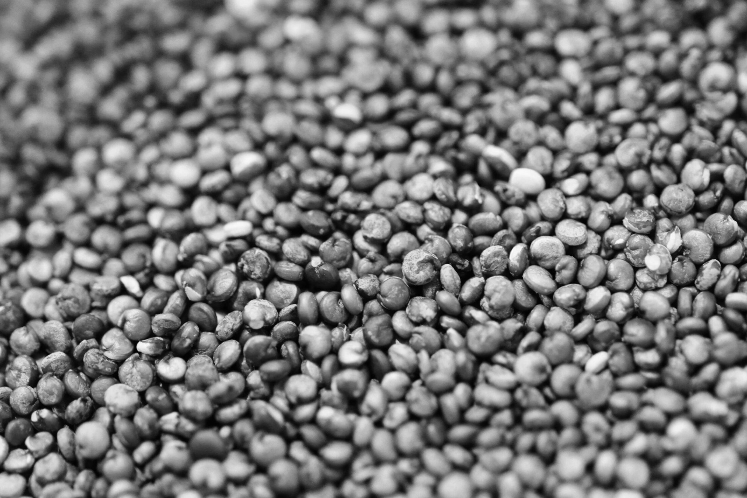 Immagini dimensione 3393x2262 px (32)