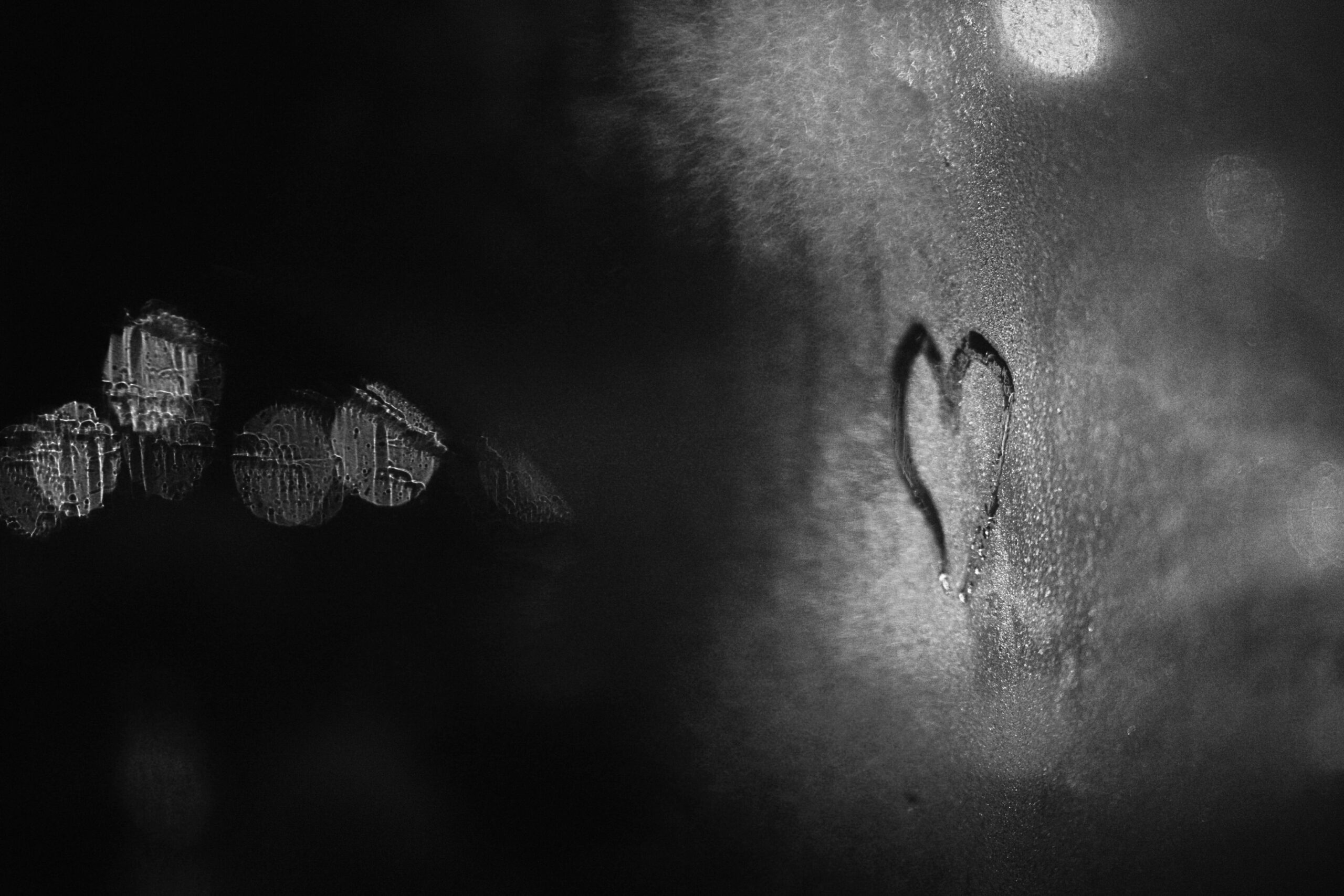 Immagini dimensione 3393x2262 px (33)