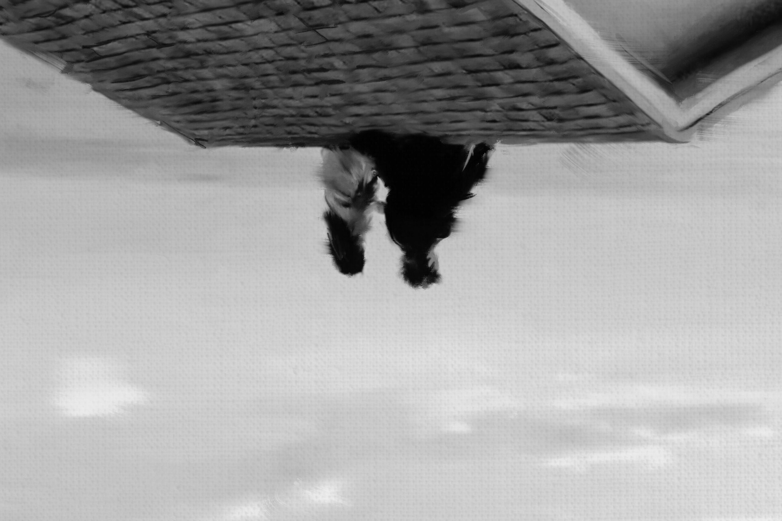 Immagini dimensione 3393x2262 px (38)