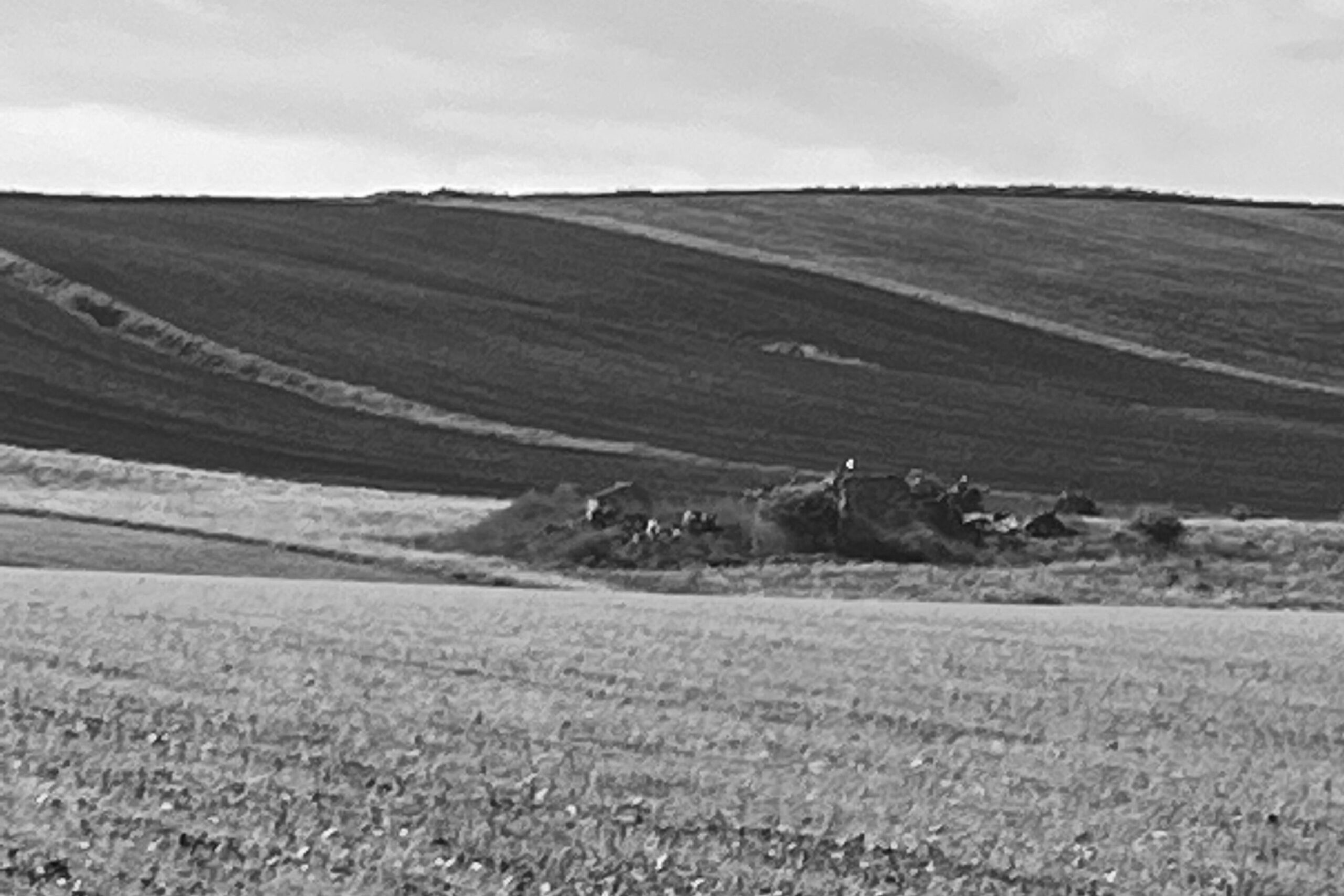 Immagini dimensione 3393x2262 px (37)